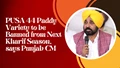 PUSA 44 Paddy Variety to be Banned from Next Kharif Season, Says Punjab CM