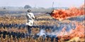 70% drop in stubble fires likely this season in Punjab
