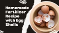 How to Make Eggshell Fertilizer at Home