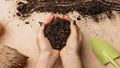 10 Homemade Organic Fertilizer Recipes for Houseplants, Flowers, And Garden Plants