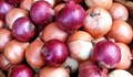200 tonnes of Onion to be offloaded daily by Nafed in Delhi