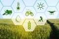 Cultivating the Future: India's AgTech Revolution and Government-Led Agricultural Innovations