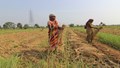 ICAR-ATARI, Kolkata, Joins Forces with AMTPL to Empower Women Entrepreneurs in Agri-Business