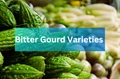 Bitter Gourd Varieties for this season