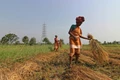 FCI Receives Authorized Capital Till Rs 21,000 Crore to Boost Agricultural Sector