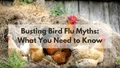Beware: Bird Flu Lies Are Spreading! Here's What You Need to Know