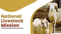 Big News: National Livestock Mission Cabinet Nods For New Activities- Details Inside!