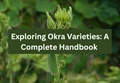 Varieties of Okra: A Comprehensive Guide to Cultivating Diversity and Flavor