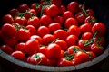 Grow Your Cherry Tomatoes With This Complete Guide