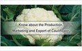 Know about the Production, Marketing and Export of Cauliflower
