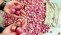 Onion Supply to be increased in Delhi