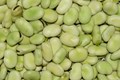 Have You Tried a Beverage from Faba Beans Yet?