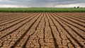 Climate Change Toll on Agriculture: Know the Whys and Hows