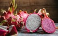 PAU Secures NABARD-Sponsored Project to Popularize Dragon Fruit Cultivation