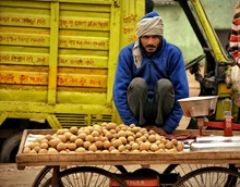 Unpredictable Weather Hits Potato Farming in India, Prices Shoot Up