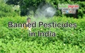 Banned Pesticides in India