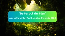 Be Part of the Plan: International Day for Biological Diversity 2024 Calls for Collective Action