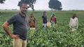 UP Farmer's Direct Vegetable Exports Forge New Path in Agricultural Commerce