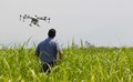 CGIAR Crop Technologies Achieve Cumulative Impact of USD 1,334 Billion: Report