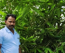 Harnessing Green Gold: Farmer Finds a Ray of Hope in Bamboo in Drought-Hit Latur 