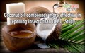 Coconut oil compounds more effective in repelling insects than DEET: Study