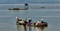 Global Aquaculture Production Surpasses Capture Fisheries for First Time: FAO Report