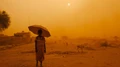 Heatwaves Set to Intensify in the Coming Years; Know More