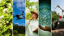 Future Farming: How Innovative Technologies are Redefining Agricultural Practices