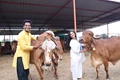 Rajasthan Couple Transforms Small Dairy Farm into Thriving Rs 1.5 Crore Business