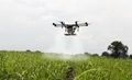 DJI Agriculture's 2023/2024 Report Finds the Global Agricultural Drone Industry is Booming