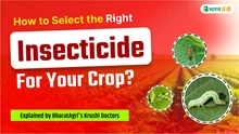 How to Select the Right Insecticide for Your Crop? Explained by BharatAgri’s Krushi Doctor
