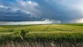 Carbon Credit Trading Scheme to Boost Farmers' Income & Promote Sustainability