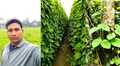 Dhoniram Chetia's Innovative Betel Leaf Farming Method Boost Yields and Increase Income