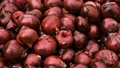 India Exported 2.6 Lakh Tonnes of Onion in April-July 2024