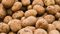 UP Rescues Odisha by Supplying 140 Truckloads of Potatoes