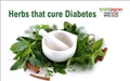 Herbs that cure Diabetes