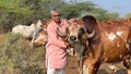 The Inspiring Story of Ramesh Ruparelia: The Journey from a Cow Herder to a Global Entrepreneur