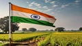 Independence Day Special: How Agriculture Transformed in India Post-Independence?