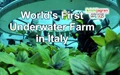 World's First Underwater Farm could be the Future of Farming