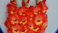 Gladiolus Arka Aayush: A Vibrant Addition to Floriculture