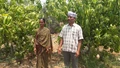 This Man Turned Barren Land into a Thriving Mango Orchard with Project Unnati Mango