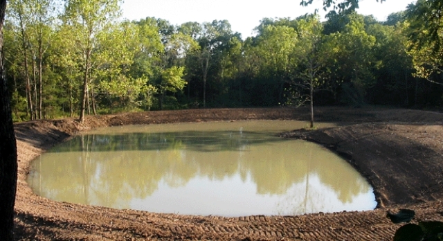 Dimensions Dig Different Sized Fish Ponds