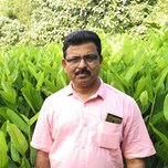 Balachandran Pillai K G
