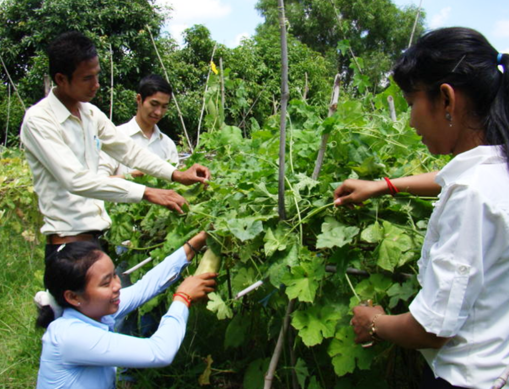 Top Agricultural Courses in India