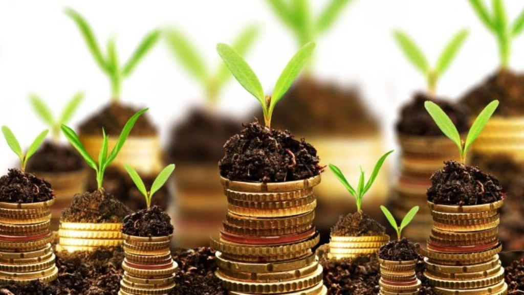 Profitable Online Business Ideas To Start In 2022