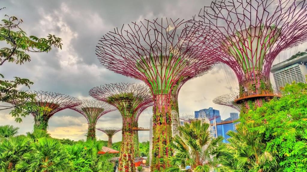 How Singapore is Pioneering the Way to Creating a Greener Urban Environment - Vimarsana News