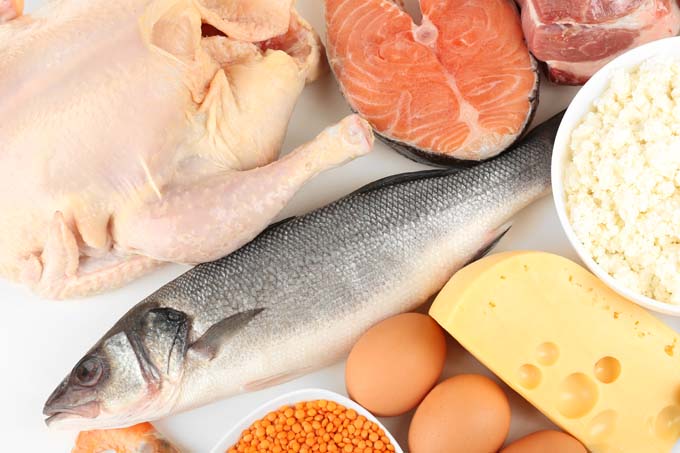 Fish Vs Chicken Which One Is Healthier 
