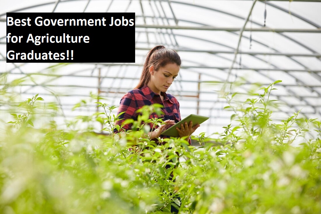 Top 6 Government Jobs For B.Sc. Agriculture Graduates To Look Out For!